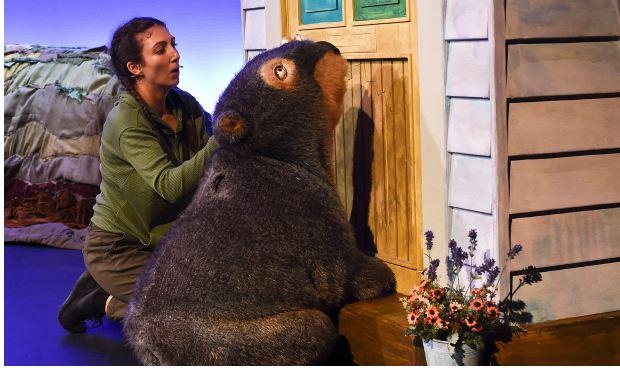 Diary of a Wombat